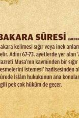 002_bakara-suresi