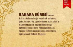 002_bakara-suresi
