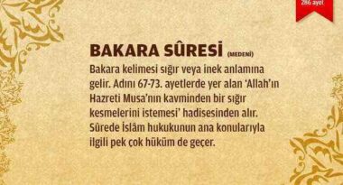 002_bakara-suresi